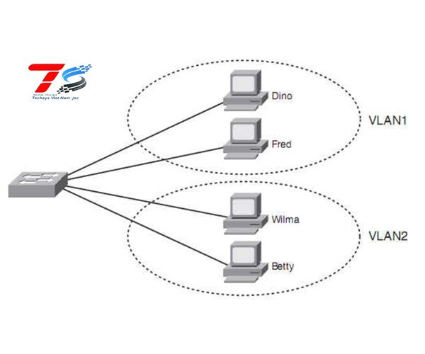 Hai loại Vlan phổ biến trên thị trường hiện nay